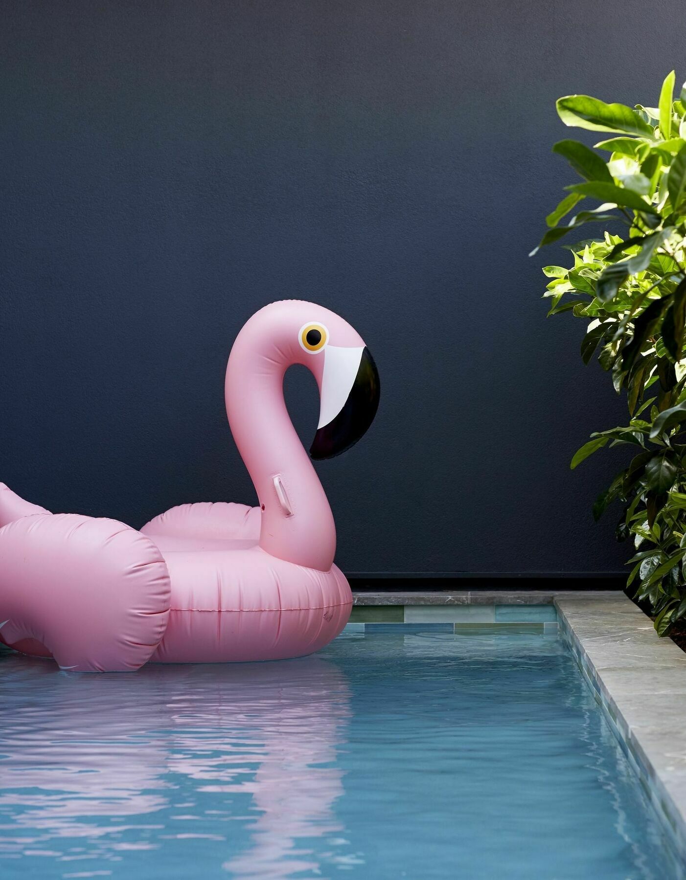 28 Degrees Byron Bay - Adults Only Hotell Exteriör bild